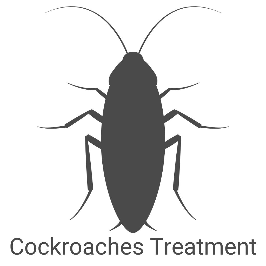 Cockroaches Treatment