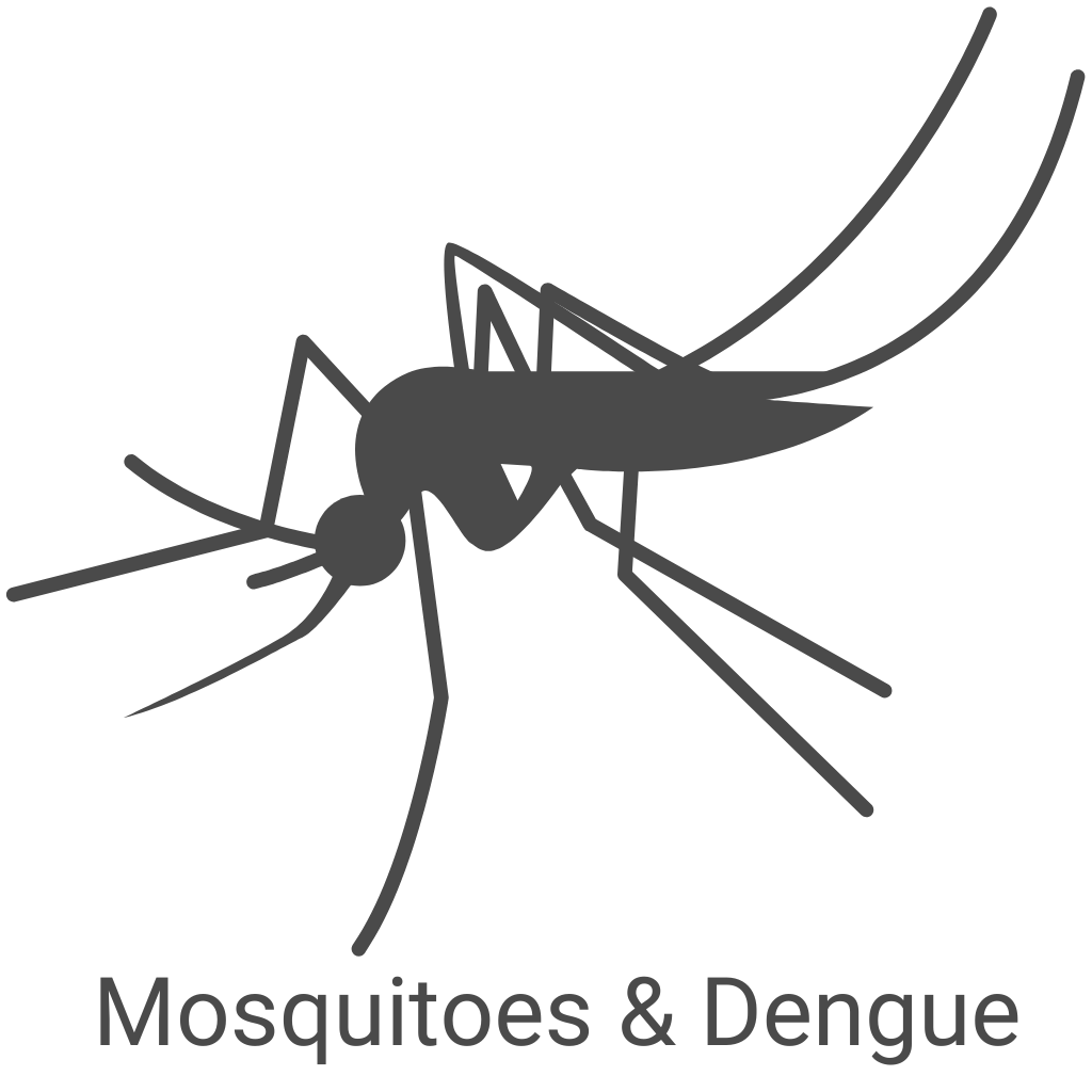 6. Mosquitoes and Dengue Treatment