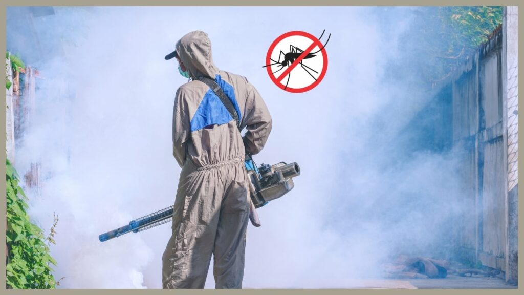 Mosquitoes and Dengue Treatment