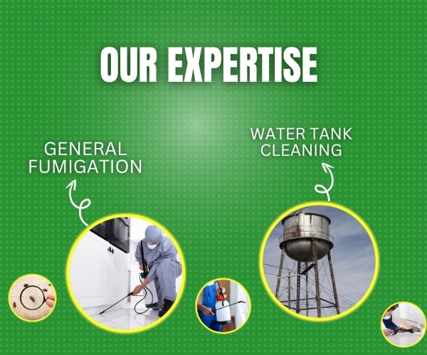 Fumigation Service By Max Fumigation