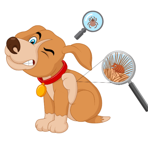 Ticks and Fleas treatment