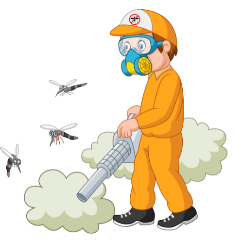 General Fumigation service in karachi