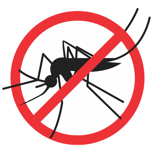 Mosquitoes and Dengue Treatment