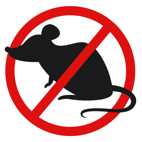 Rodent & Rats treatment inj karachi